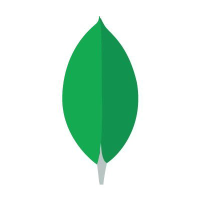 provider logo